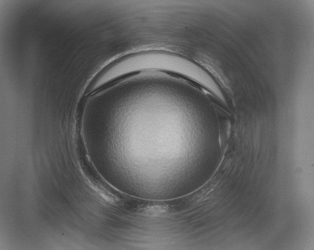 X0000082960156200702152315