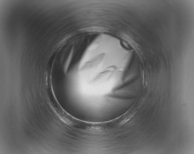 X0000082960157200702152315