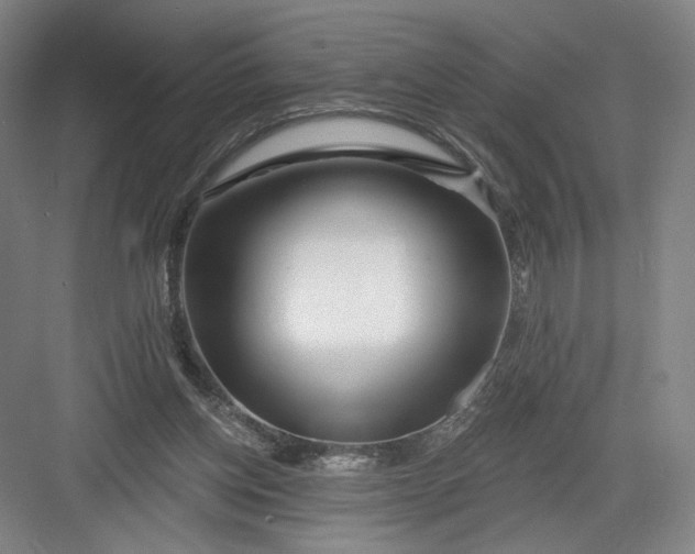 X0000082960158200702152315