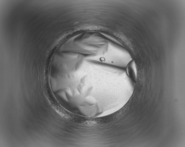 X0000082960159200702152315