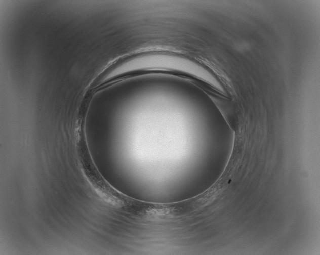 X0000082960160200702152315