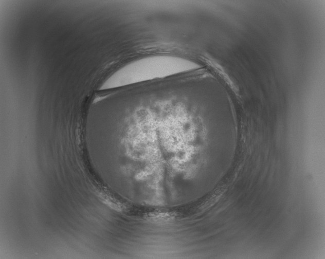 X0000082960161200702152315