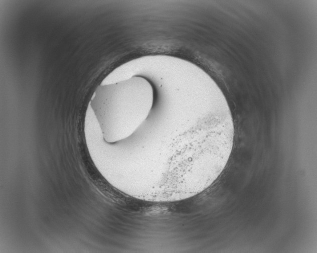 X0000082960162200702152315