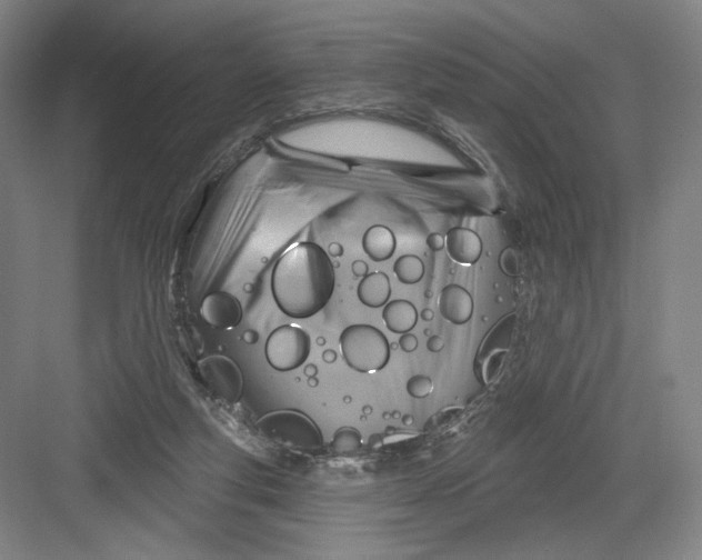 X0000082960163200702152315