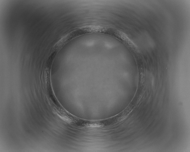 X0000082960165200702152315