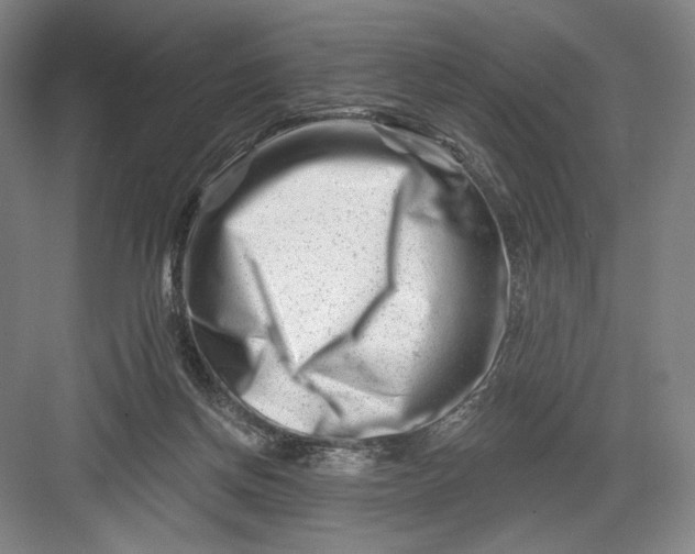 X0000082960166200702152315