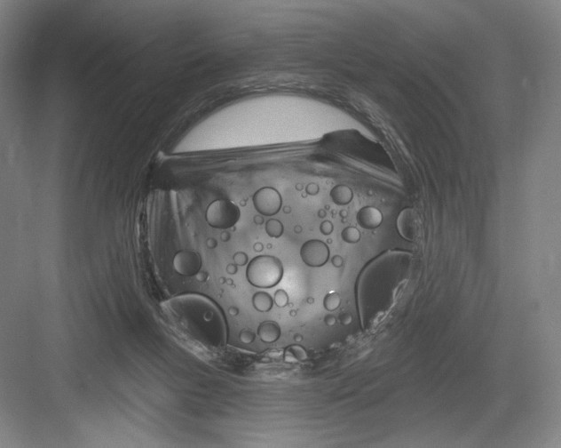 X0000082960167200702152315