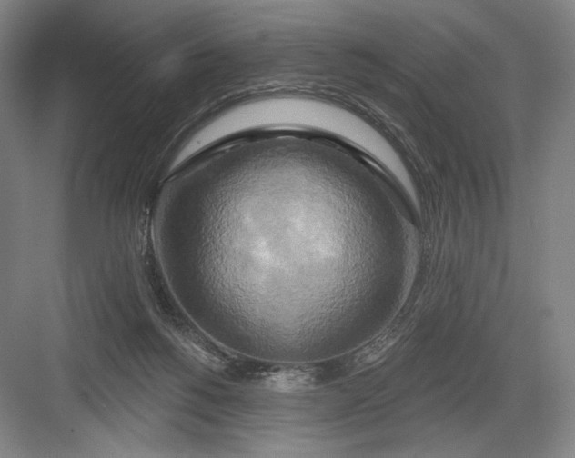 X0000082960168200702152315