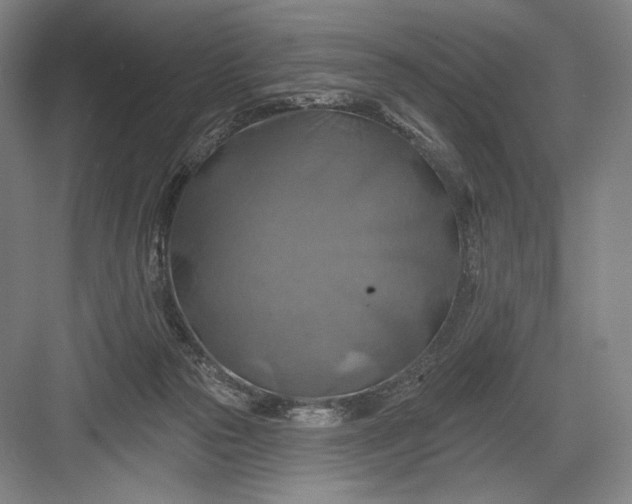 X0000082960169200702152315