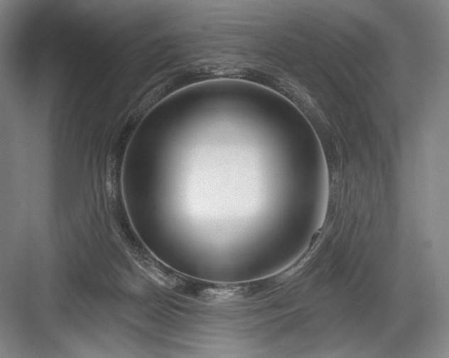 X0000082960170200702152315