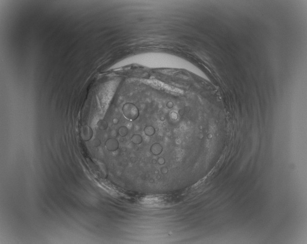 X0000082960171200702152315