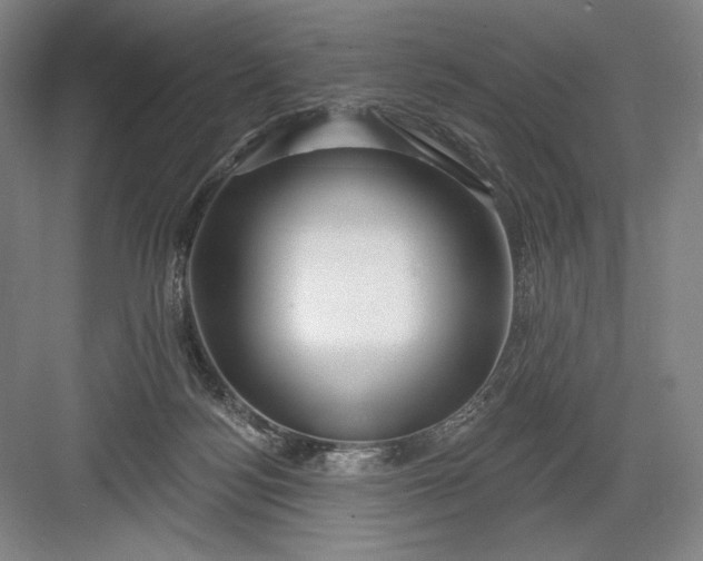 X0000082960172200702152315