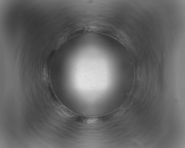 X0000082960173200702152315