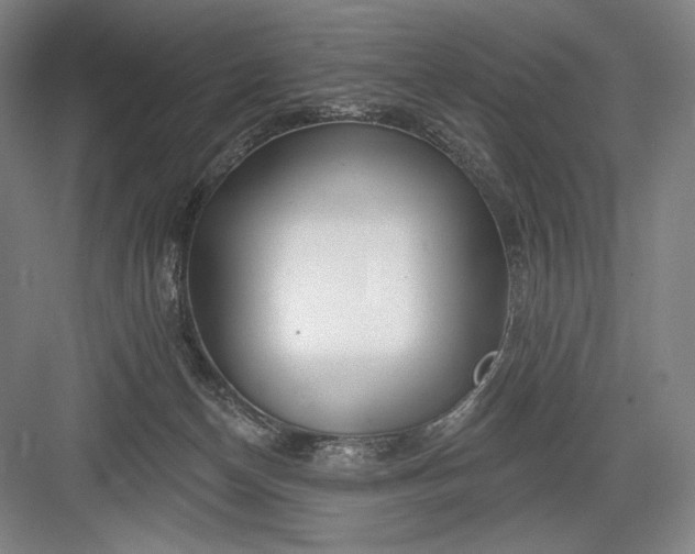 X0000082960174200702152315