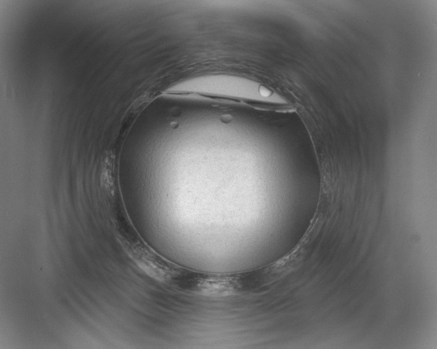 X0000082960175200702152315