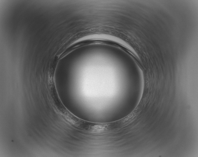 X0000082960176200702152315