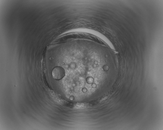 X0000082960177200702152315