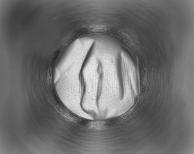 X0000082960179200702152315