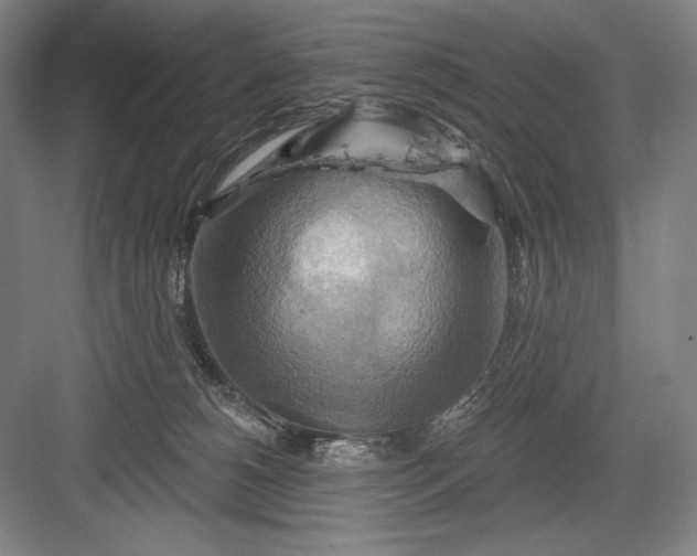 X0000082960180200702152315