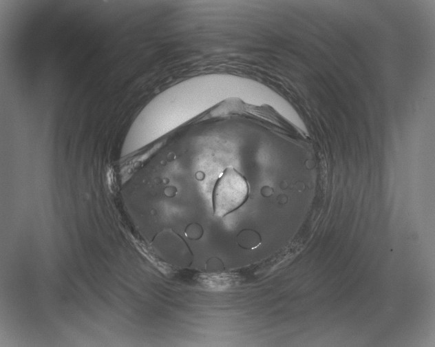 X0000082960181200702152315