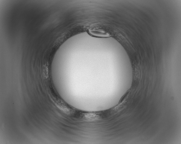 X0000082960183200702152315