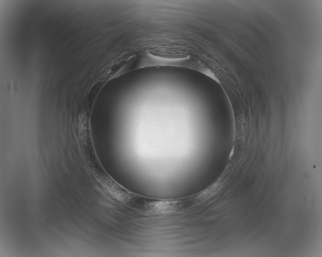 X0000082960184200702152315