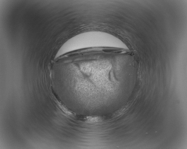 X0000082960185200702152315