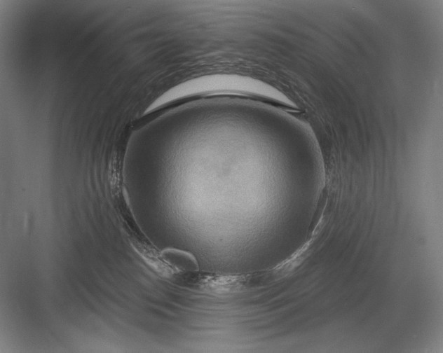 X0000082960186200702152315