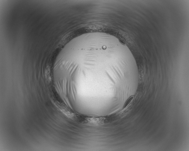 X0000082960187200702152315