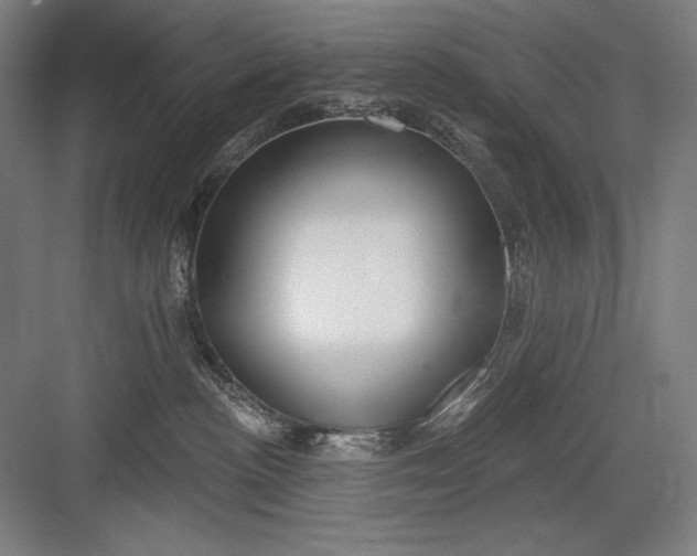 X0000082960188200702152315