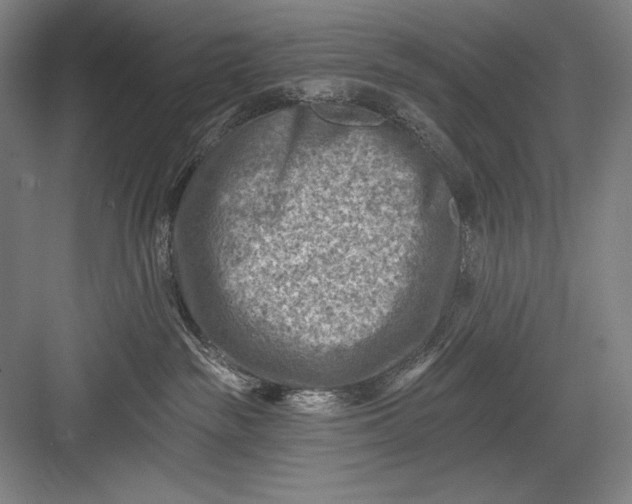 X0000082960189200702152315