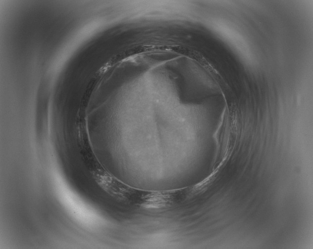 X0000082960191200702152315