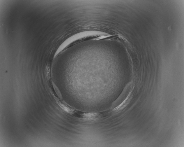 X0000082960192200702152315