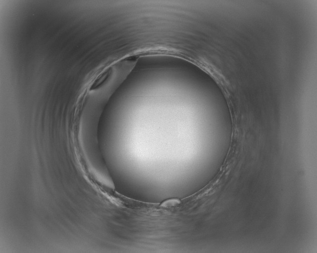 X0000082960193200702152315