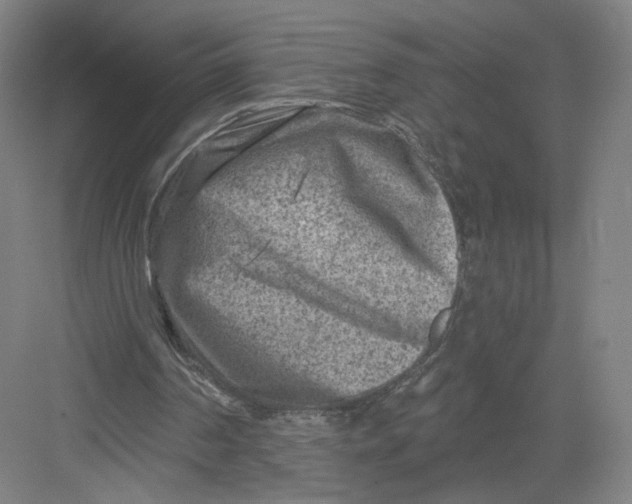 X0000082960194200702152315