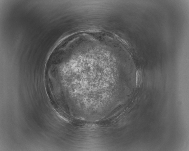 X0000082960195200702152315