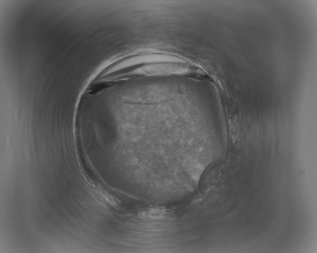 X0000082960196200702152315