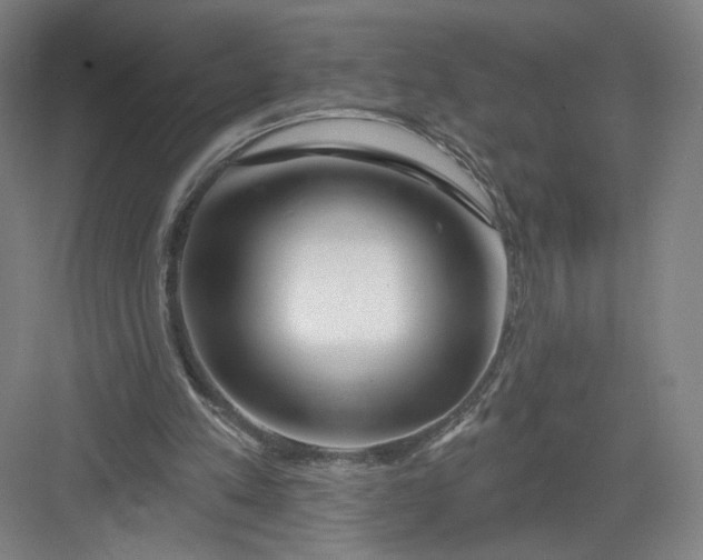 X0000082960197200702152315