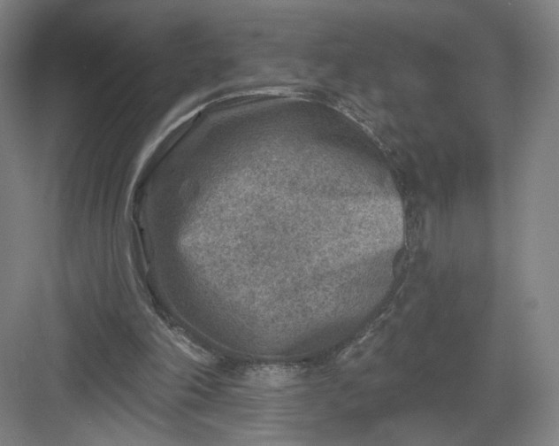 X0000082960198200702152315