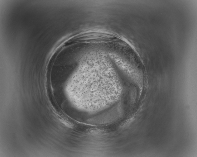 X0000082960199200702152314