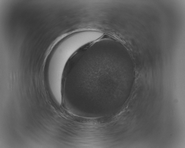 X0000082960200200702152314