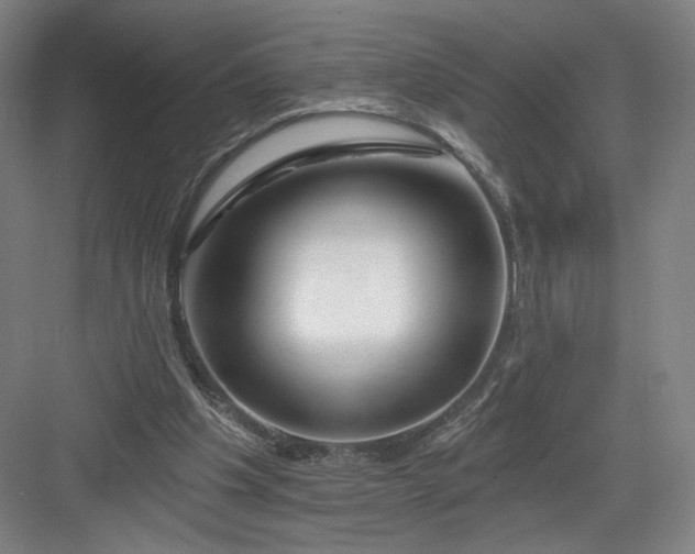 X0000082960201200702152314