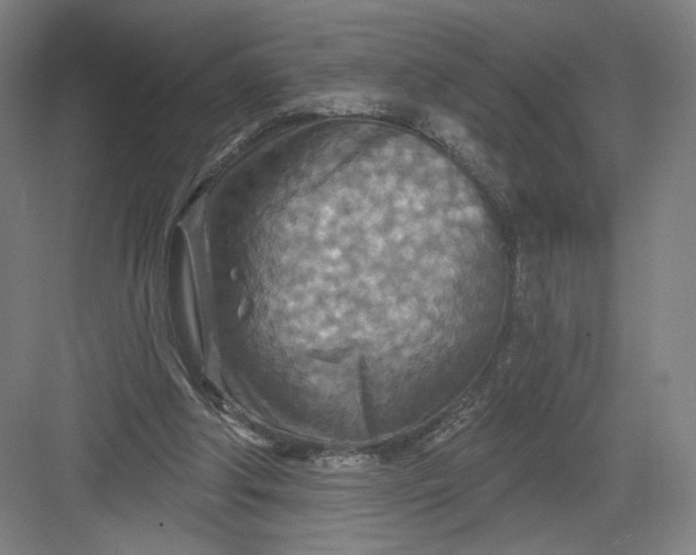 X0000082960202200702152314