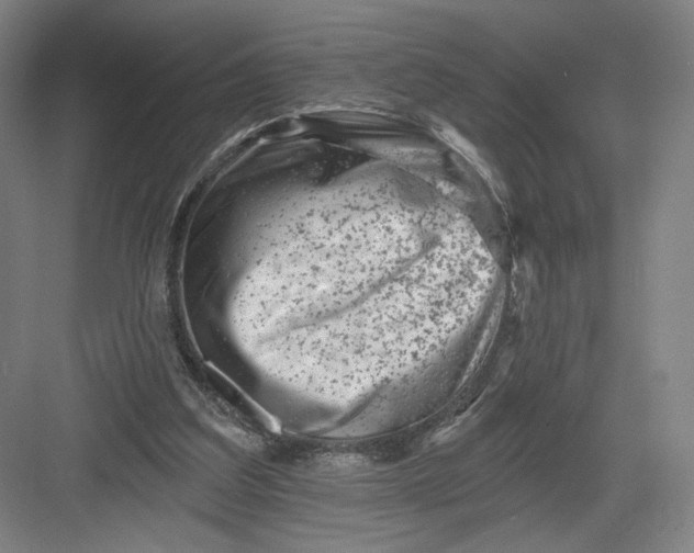 X0000082960203200702152314