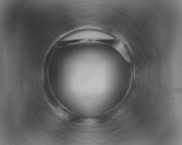 X0000082960204200702152314