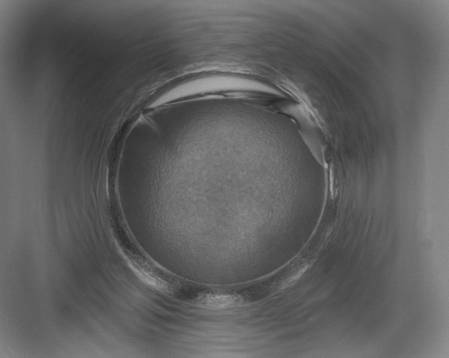 X0000082960205200702152314