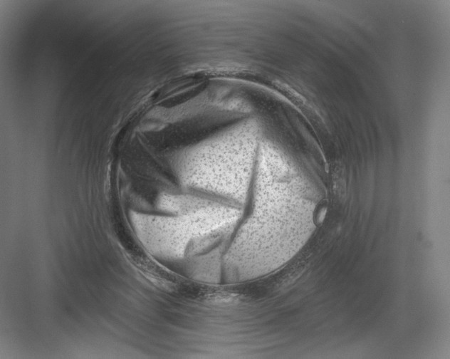 X0000082960206200702152314