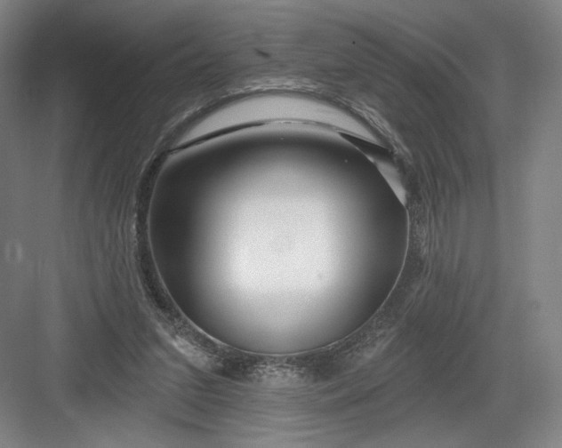 X0000082960207200702152314