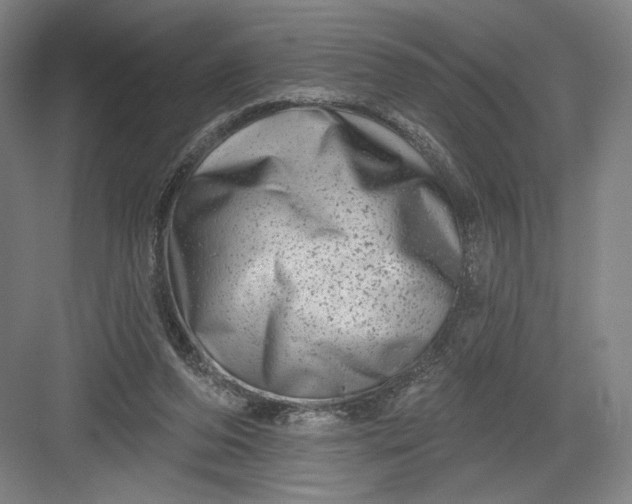 X0000082960208200702152314