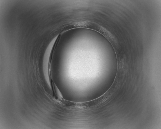 X0000082960209200702152314